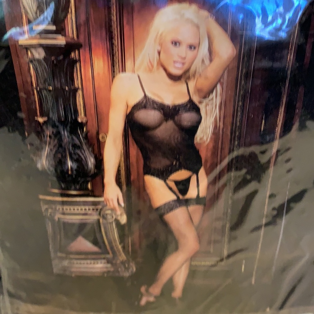 Elegant moments 3pc Fishnet camisette stockings & g-string Elegant moments #1431 - Picture 2 of 3